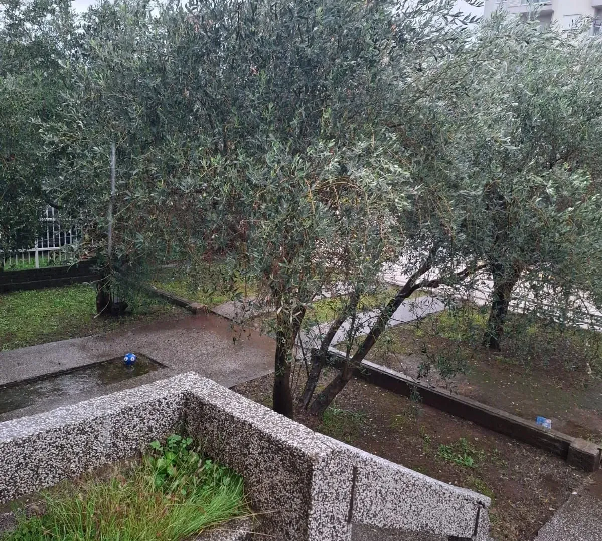 Rent, house, 300m², Stari Aerodrom, Podgorica