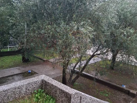 Izdavanje, kuća, 300m², Stari Aerodrom, Podgorica - image 21