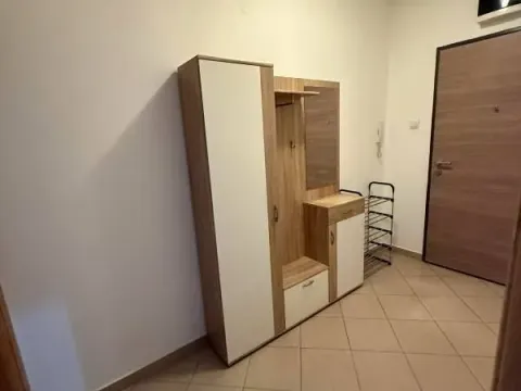 Izdavanje, jednosoban stan, 55m², Ljubović, Podgorica - image 2