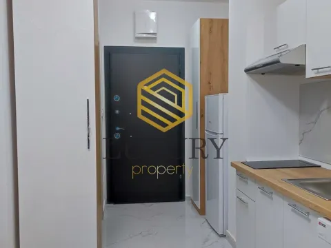 Rent, studio apartment, 20m², Zabjelo, Podgorica - image 5