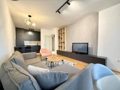 Prodaja, jednosoban stan, 49m², Central Point, Podgorica - image 1