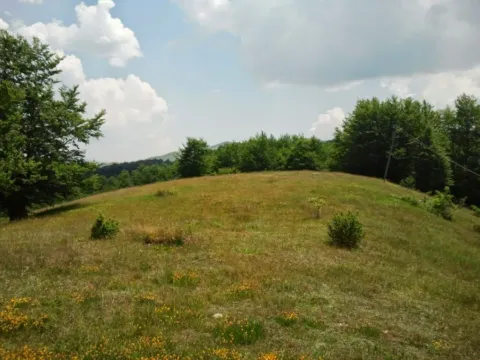 Prodaja, plac, 7831m², Malinsko, Šavnik - image 2