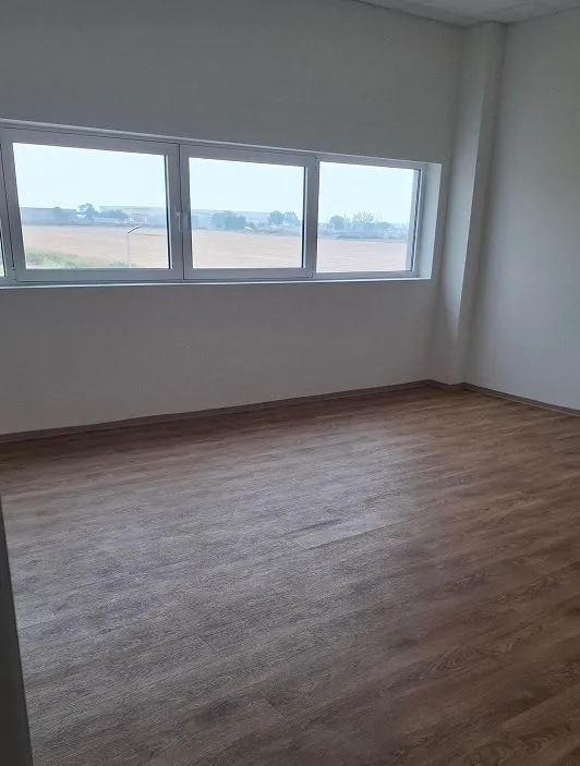 Empty bright room with laminate flooring and large windows.