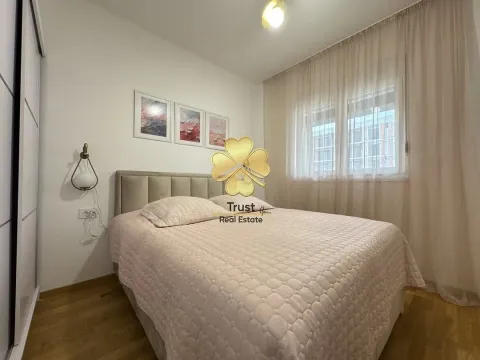 Izdavanje, jednosoban stan, 50m², Stari Aerodrom, Podgorica - image 10