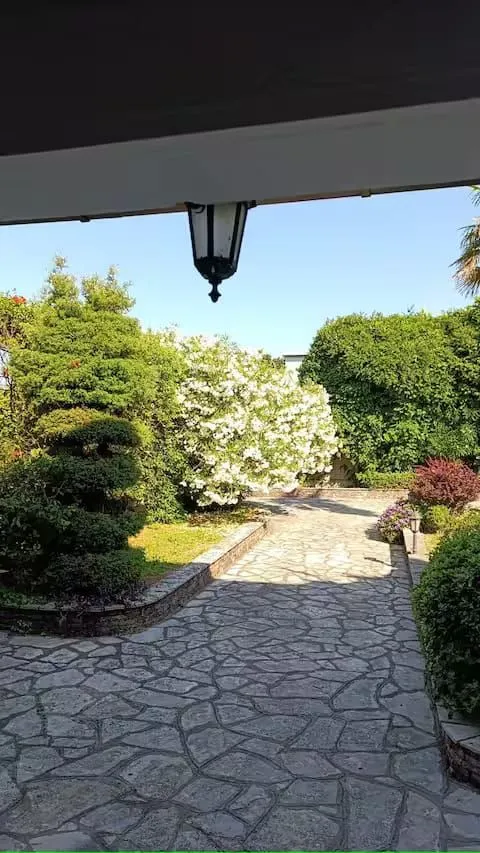Paved pathway in a landscaped yard with greenery and trees.