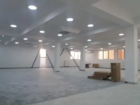 Izdavanje, poslovni prostor, 3300m², Altina, Beograd - image 5