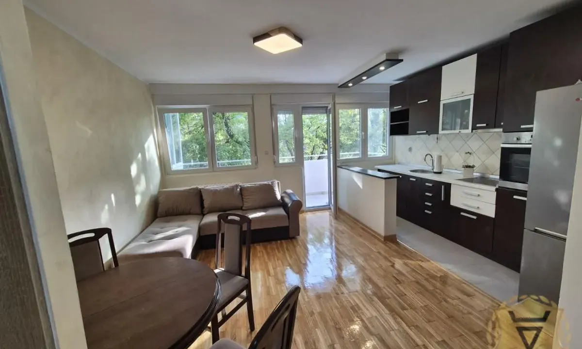 Izdavanje, dvosoban stan, 45m², Stari Merkator, Novi Beograd Sve Podlokacije