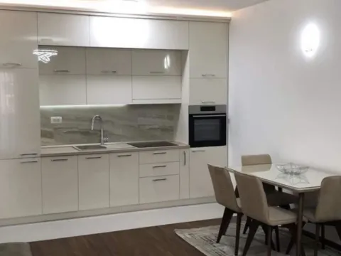 Izdavanje, jednosoban stan, 52m², Podgorica, Crna Gora - image 5