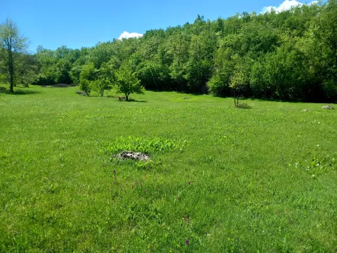 Prodaja, plac, 130000m², Sjenokosi, Nikšić - image 2
