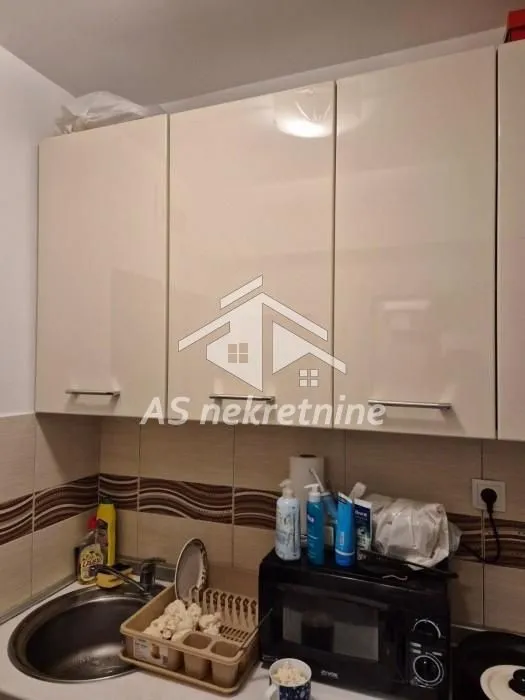 Izdavanje, jednosoban stan, 30m², Banovo Brdo, Beograd