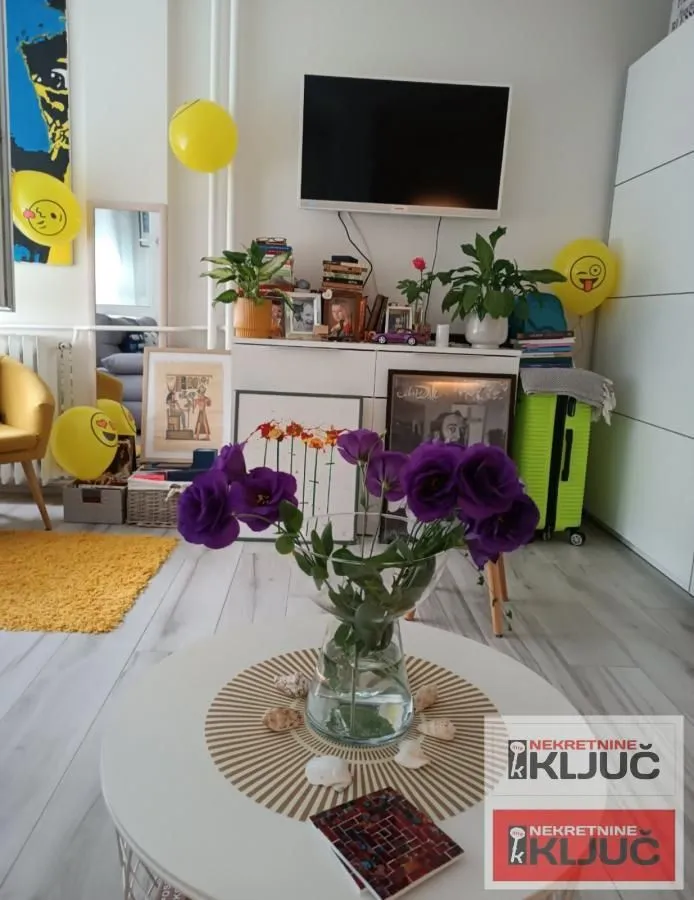 Izdavanje, garsonjera, 26m², Liman 3, Novi Sad Sve Podlokacije