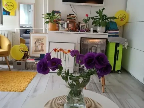 Izdavanje, garsonjera, 26m², Liman 3, Novi Sad Sve Podlokacije - image 3