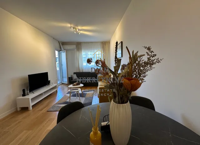 Rent, one bedroom apartment, 47m², Central Point, Podgorica