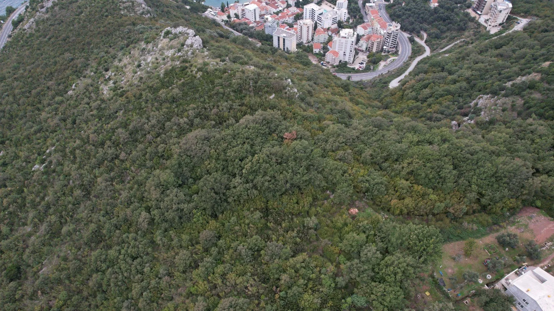 Prodaja, plac, 5100m², Rafailovići, Budva