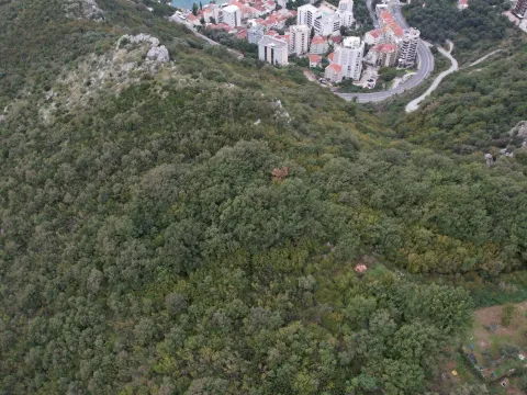 Prodaja, plac, 5100m², Rafailovići, Budva - image 4