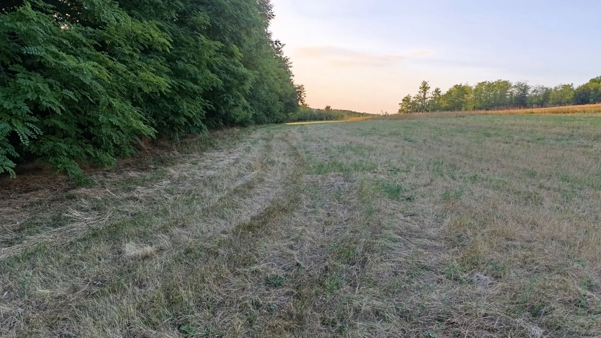 Sale, land lot, 5678m², Centar, Topola