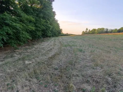 Sale, land lot, 5678m², Centar, Topola - image 2