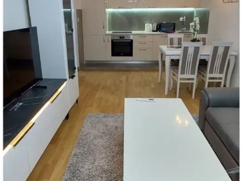 Izdavanje, jednosoban stan, 45m², Zabjelo, Podgorica - image 6