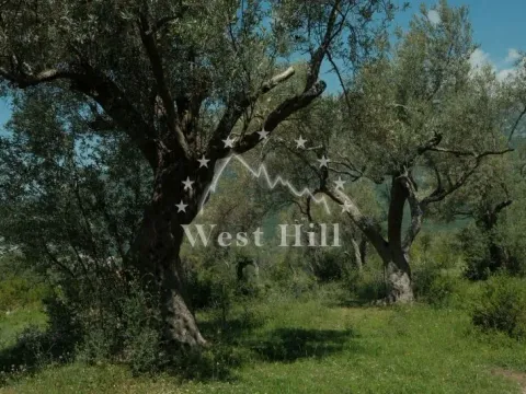 Prodaja, plac, 8700m², Bar, Crna Gora - image 22