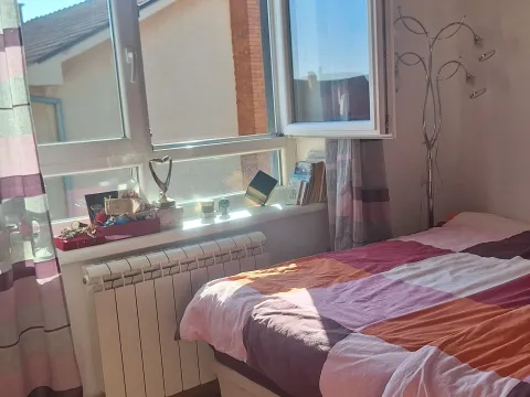 Izdavanje, jednosoban stan, 45m², Zvezdara Sve Podlokacije, Beograd - image 5