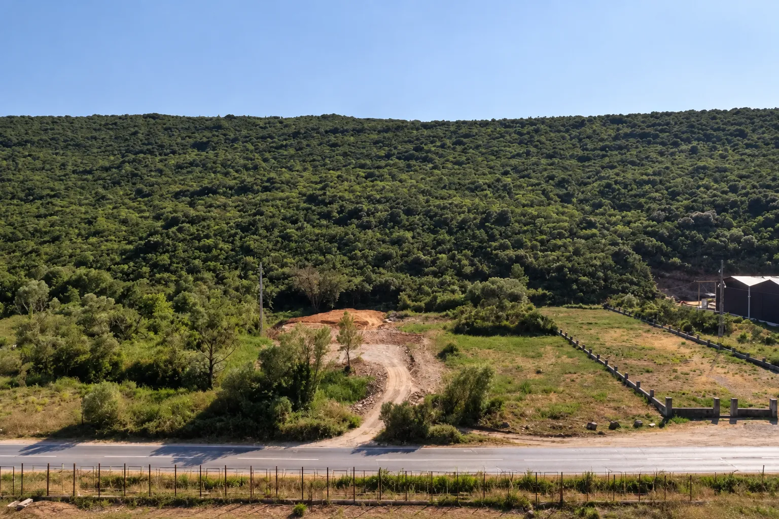Pogled na plac sa šumom u pozadini pored puta.
