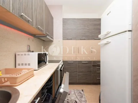 Izdavanje, jednosoban stan, 45m², Stari Aerodrom, Podgorica - image 5