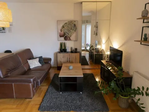 Izdavanje, dvosoban stan, 47m², Grbavica, Novi Sad Sve Podlokacije - image 9
