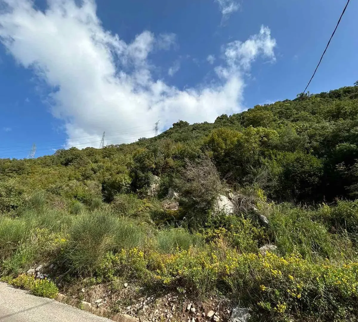 Prodaja, plac, 4500m², Kotor, Crna Gora