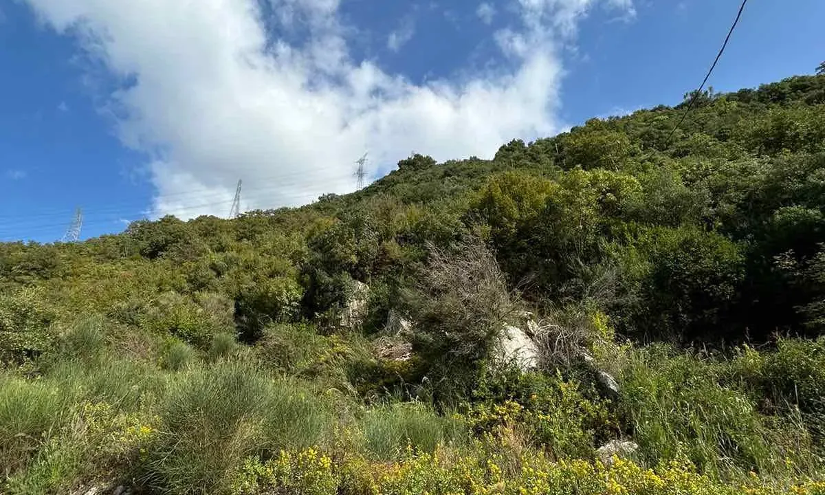 Sale, land lot, 4500m², Kotor, Crna Gora