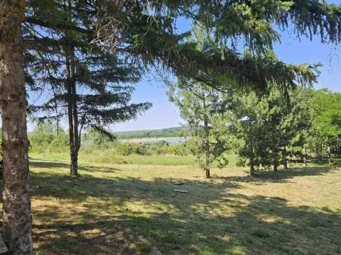 Sale, land lot, 5000m², Stari Slankamen, Inđija - image 2