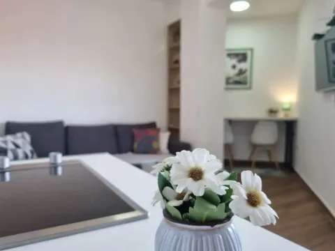 Prodaja, garsonjera, 22m², Centar, Nikšić - image 11