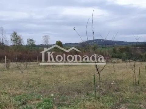 Sale, land lot, 2888m², Parcani, Sopot - image 4