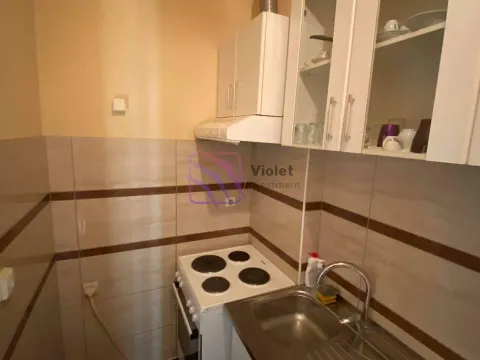 Izdavanje, jednosoban stan, 53m², Centar, Podgorica - image 8