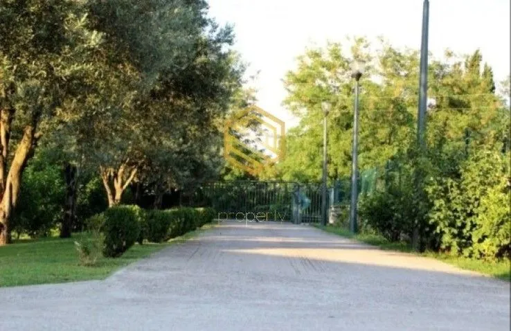 Izdavanje, kuća, 250m², Tološi, Podgorica
