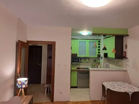 Izdavanje, jednosoban stan, 38m², Blok 9, Podgorica - image 3