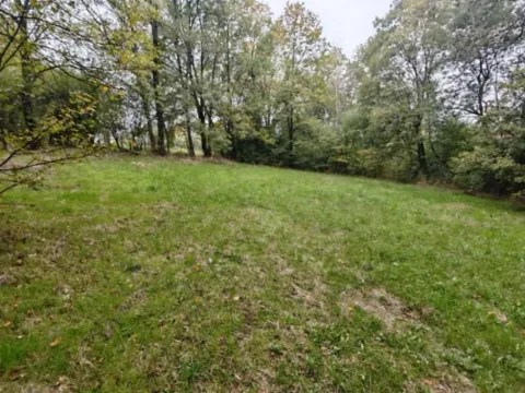 Prodaja, plac, 33900m², Velika Ivanča, Mladenovac - image 10