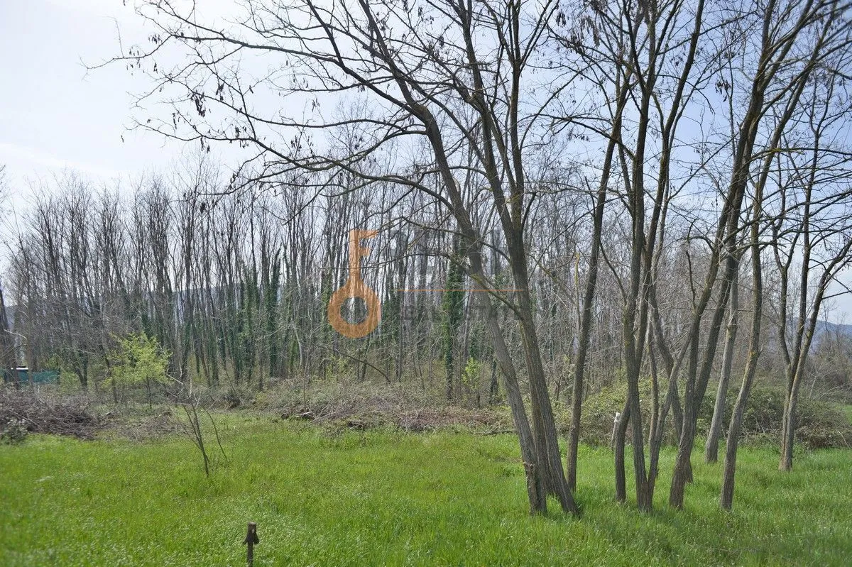 Prodaja, plac, 7628m², Danilovgrad, Crna Gora