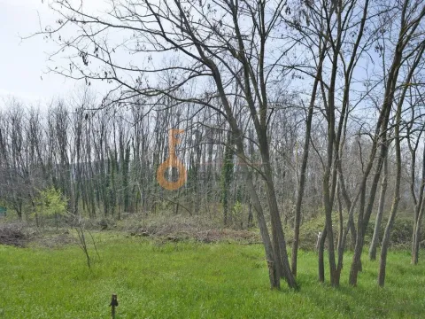 Prodaja, plac, 7628m², Danilovgrad, Crna Gora - image 11