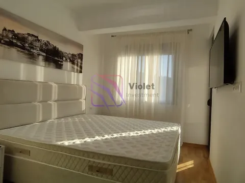 Rent, one bedroom apartment, 40m², Zabjelo, Podgorica - image 8