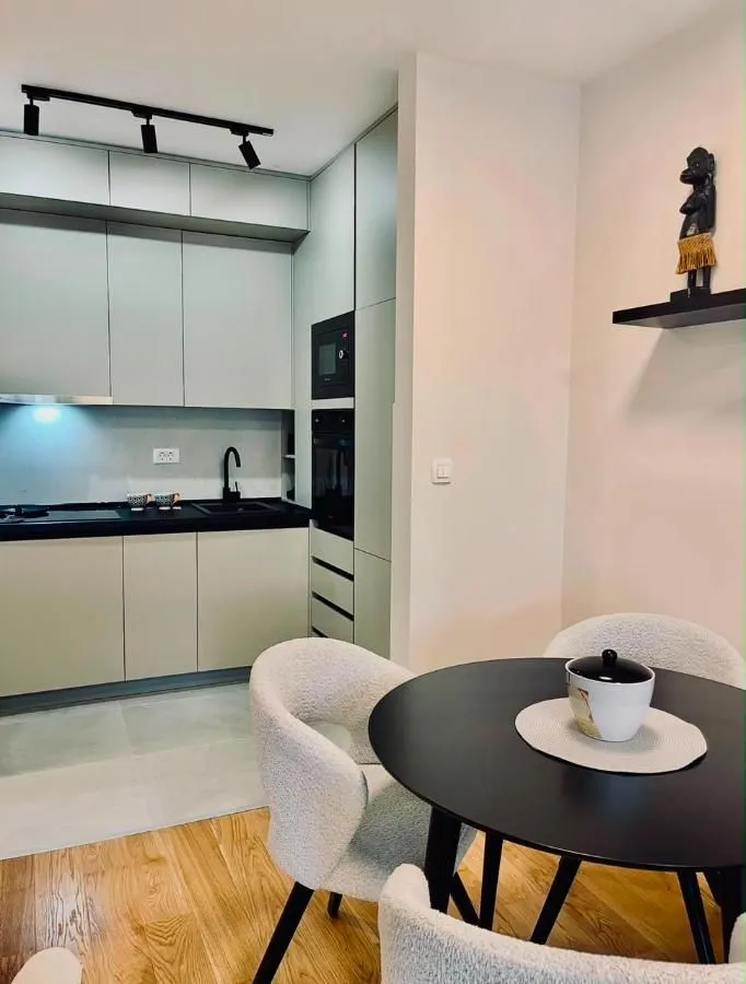 Izdavanje, jednosoban stan, 42m², Central Point, Podgorica