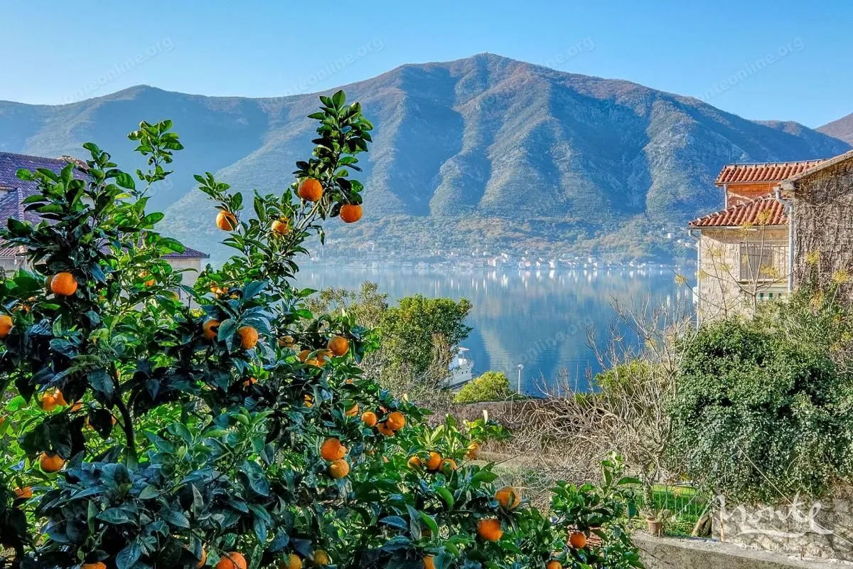 Prodaja, kuća, 219m², Dobrota, Kotor