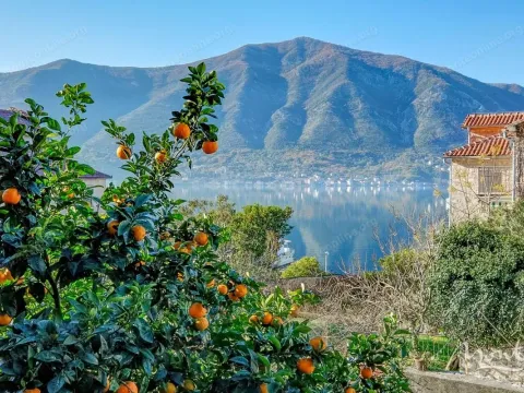 Sale, house, 219m², Dobrota, Kotor - image 29