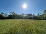 Prodaja, plac, 5181m², Ćurilac, Danilovgrad - image 5