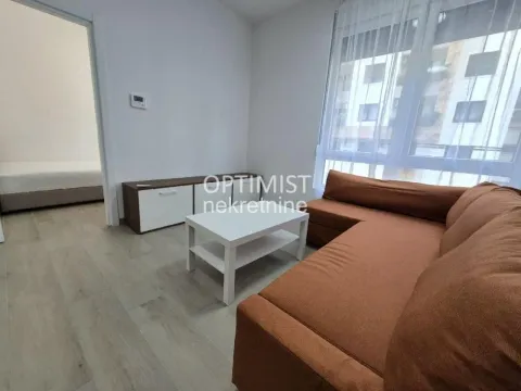 Izdavanje, dvosoban stan, 40m², Vračar Sve Podlokacije, Beograd - image 2