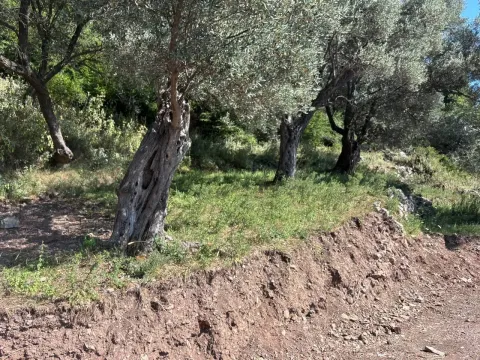 Sale, land lot, 6500m², Centar, Bar - image 3