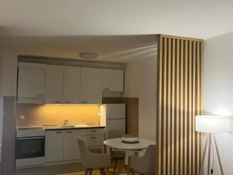 Izdavanje, jednosoban stan, 42m², Central Point, Podgorica - image 11