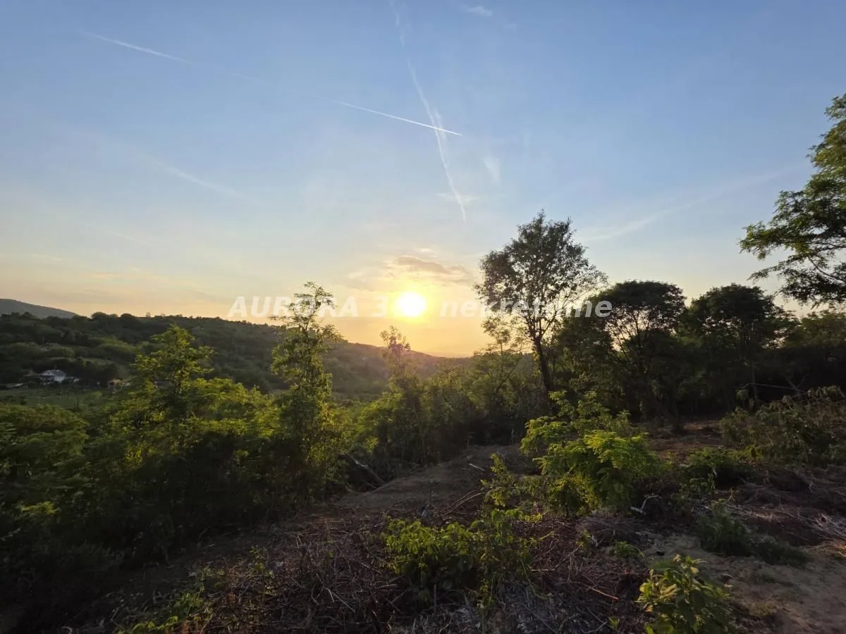 Prodaja, plac, 3729m², Sremska Kamenica, Petrovaradin