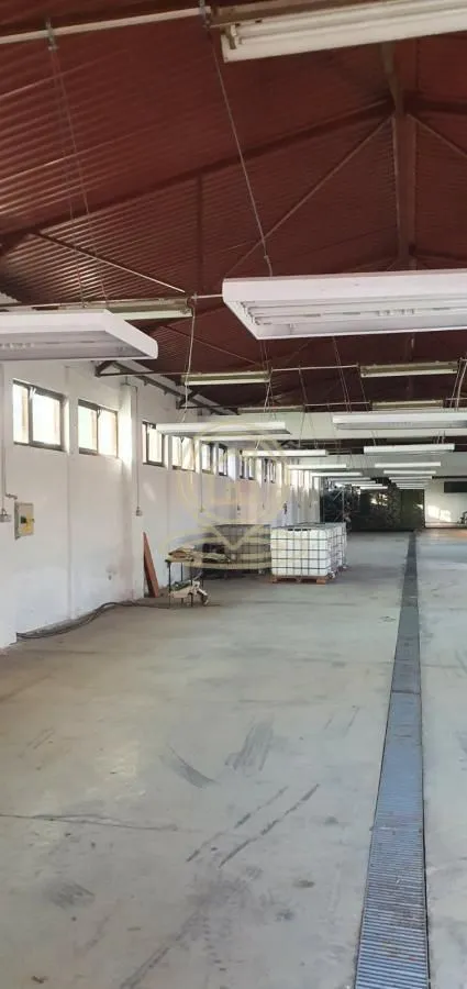 Rent, office space, 1200m², Mladenovac, Beograd