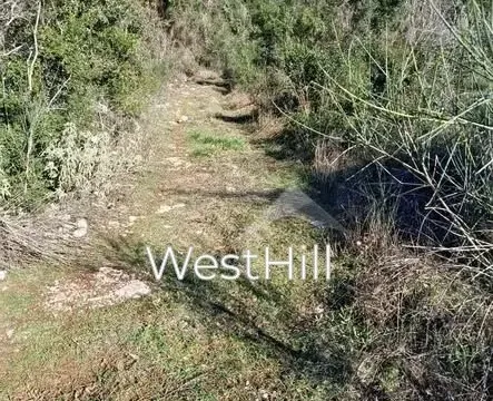 Prodaja, plac, 10076m², Utjeha, Bar - image 3