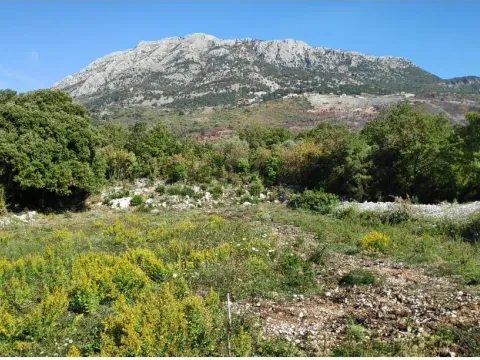 Prodaja, plac, 500m², Dobra Voda, Budva - image 3